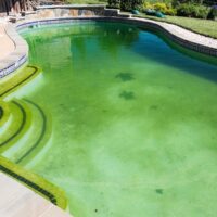 Cómo evitar el agua verde en tu piscina este verano