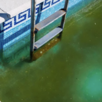 Cómo evitar que las algas invadan tu piscina en julio